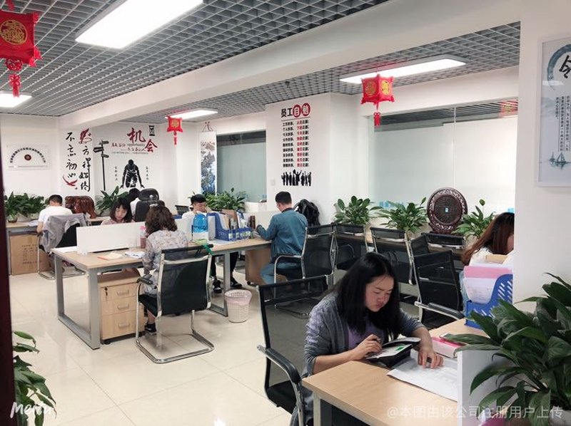 商务策划：精准把握市场脉搏